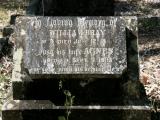 image of grave number 697594